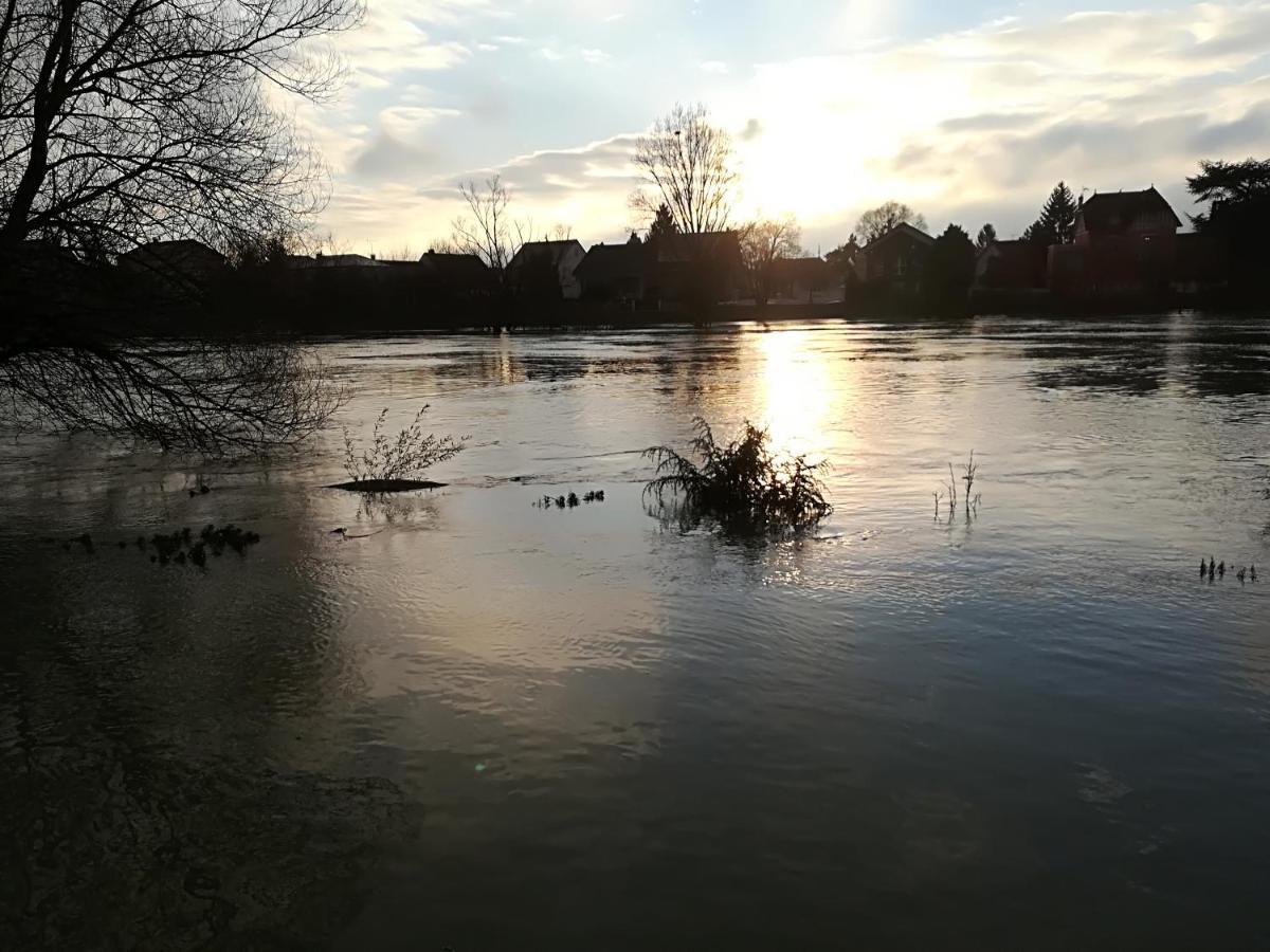 Alojamento de Acomodação e Pequeno-almoço Les Pingouins De La Marne Le Perreux-Sur-Marne
